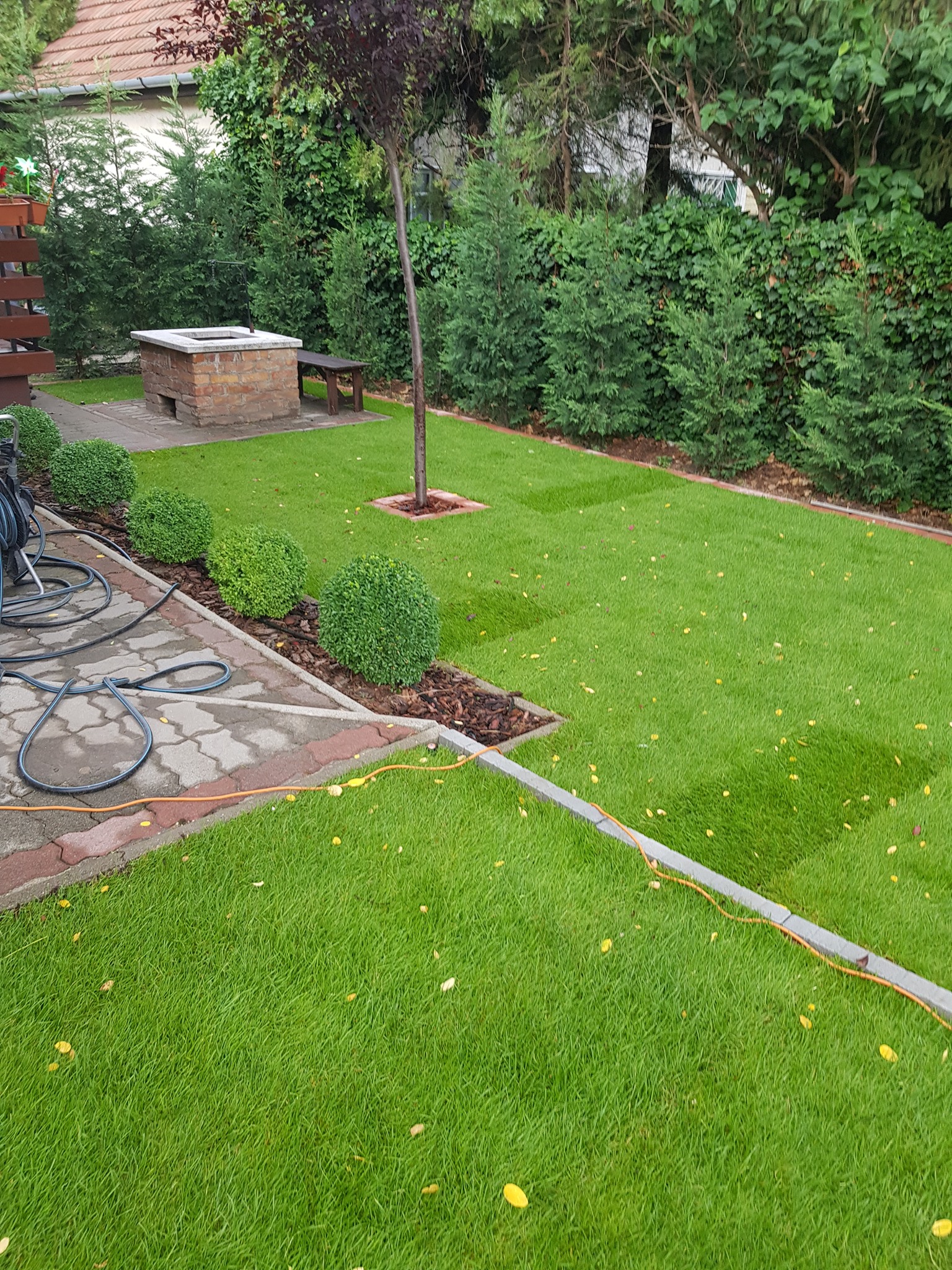 255851208_2953321411586597_4452012841097802033_n