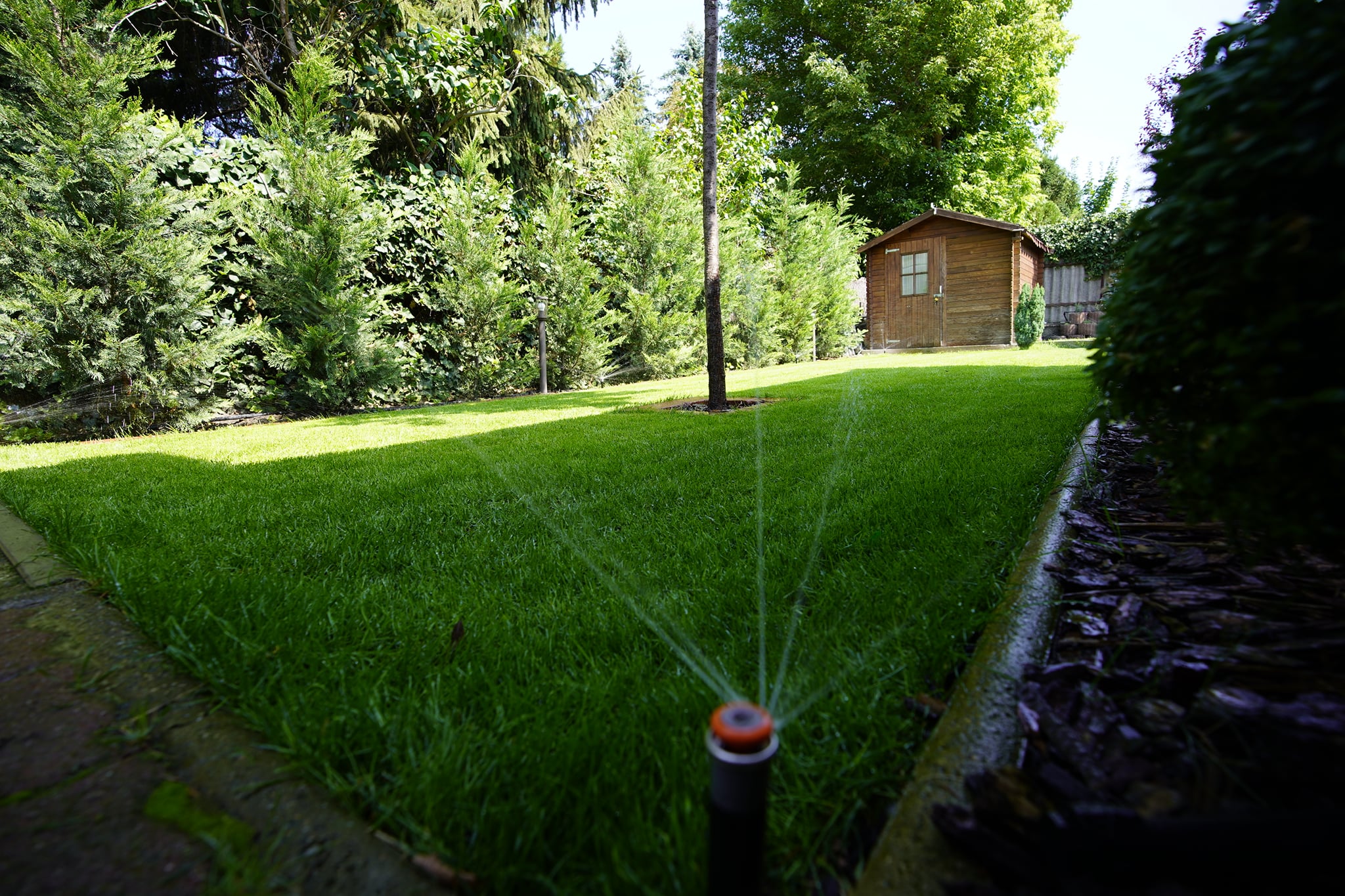 470685133_3775039369414793_7413562584853511770_n