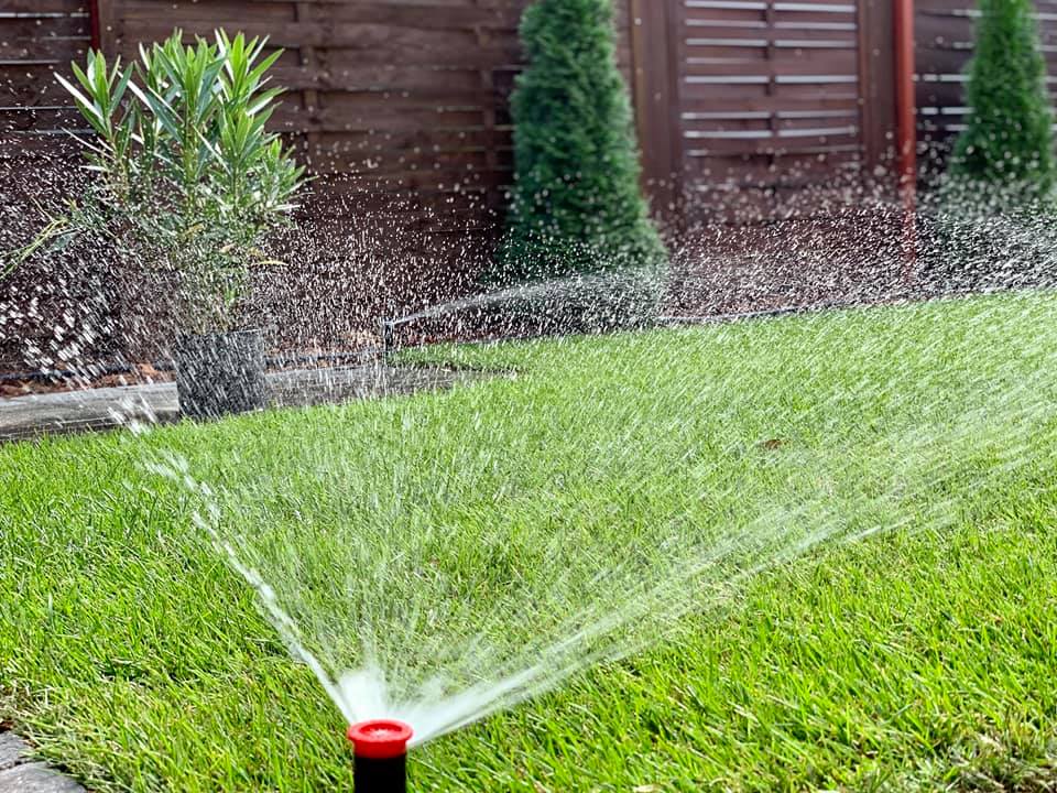 473252558_3791574394427957_4705418567458967853_n