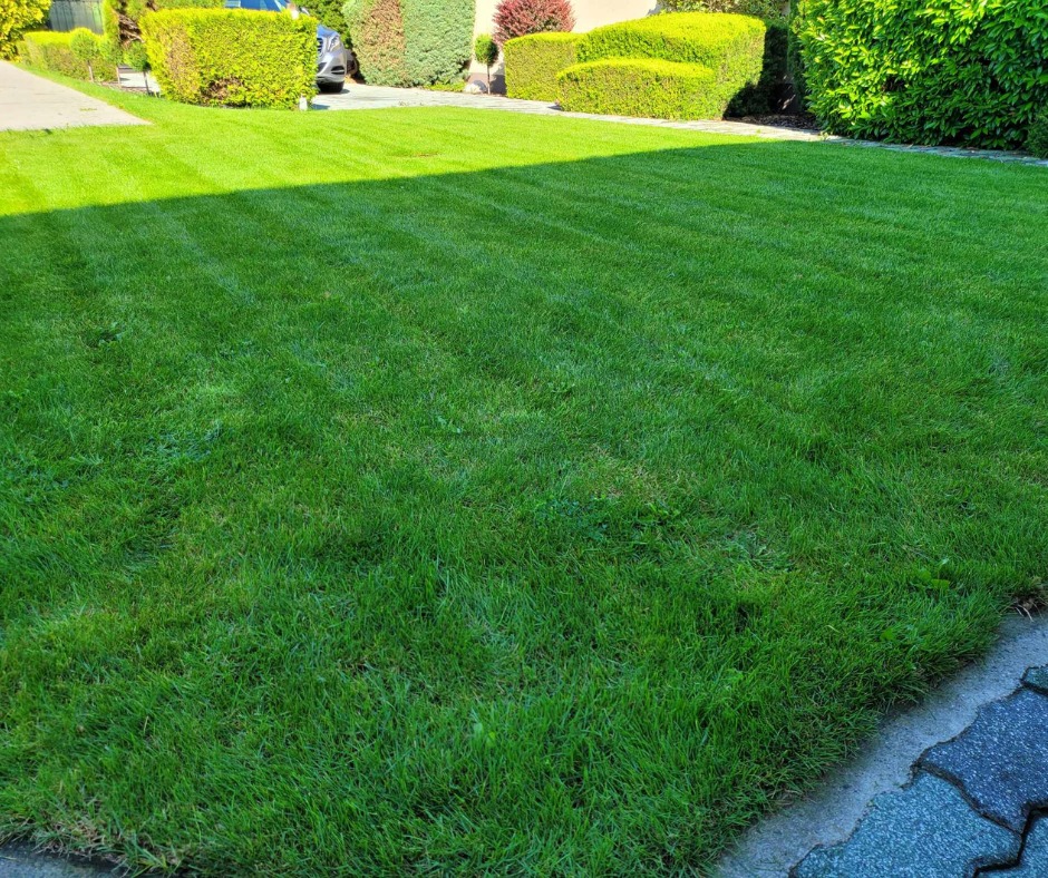 475786518_943399331104801_8545672346380705798_n