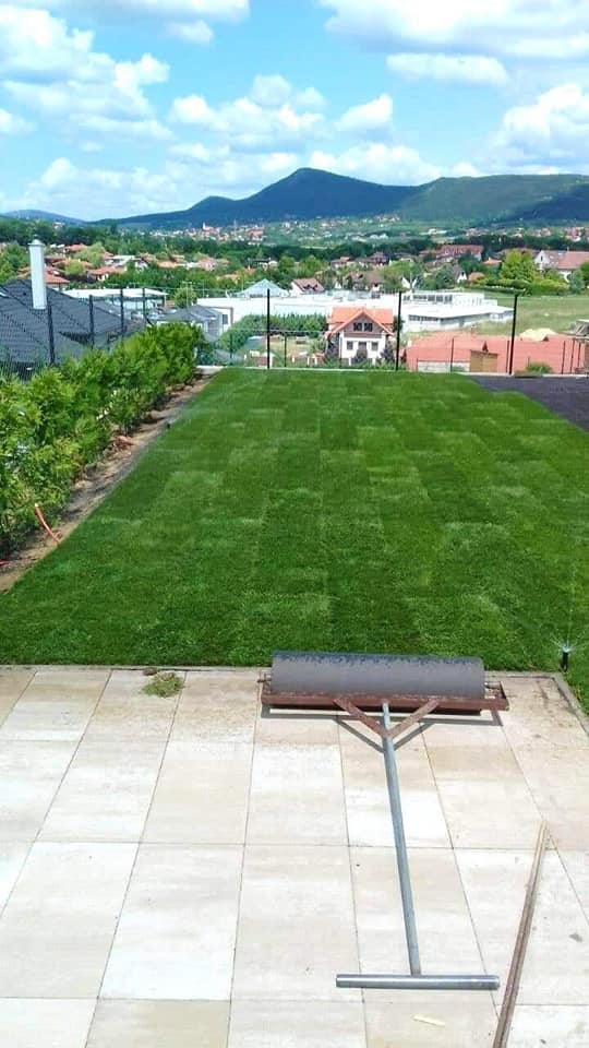 66695378_2303511779900900_7678859586274590720_n